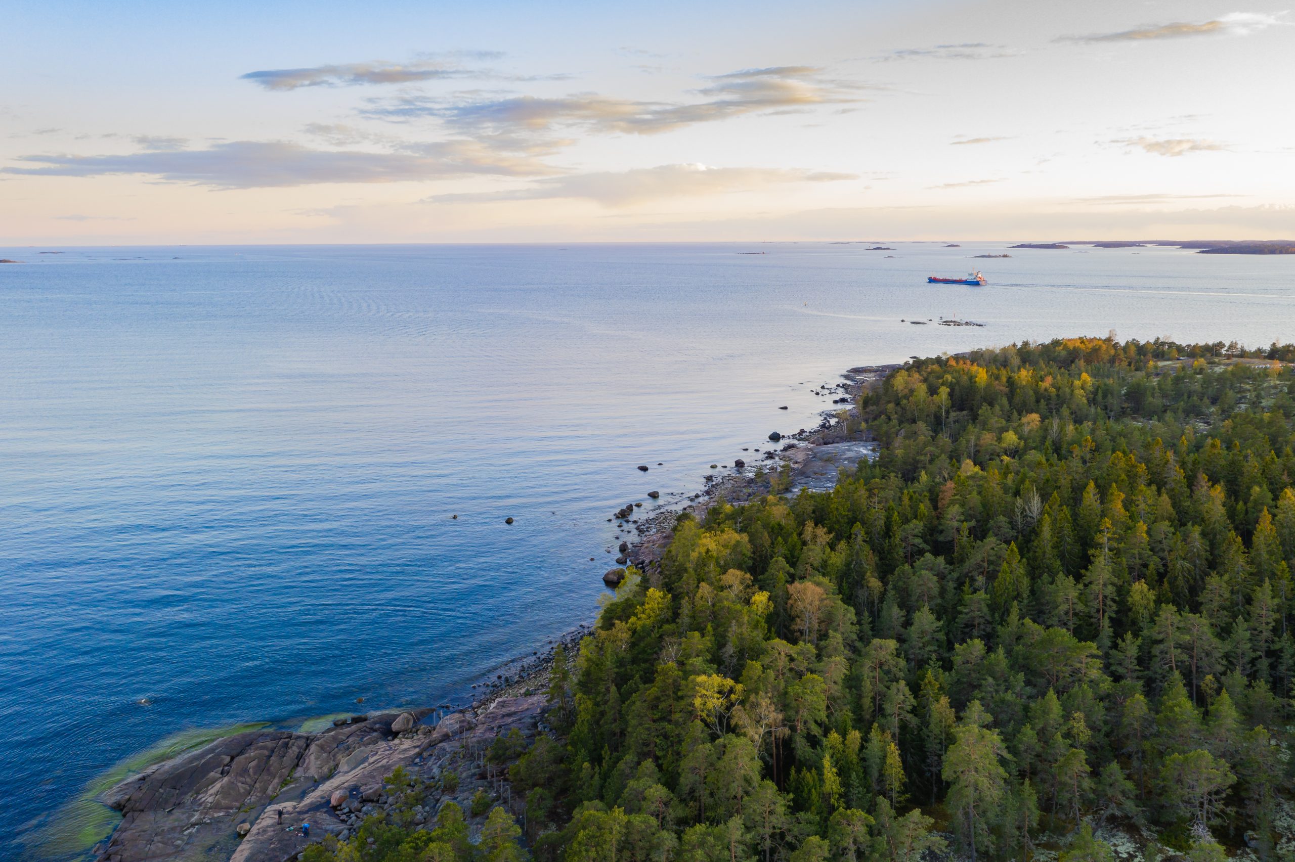 biodiversiteetin-liiketoimintamallit-ekosysteemipalvelut